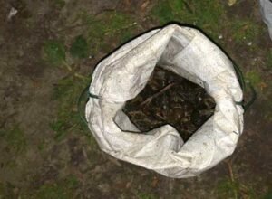 На Чуднівщині чоловіки наловили раків, завдавши природі збитків на 5 тис.грн.